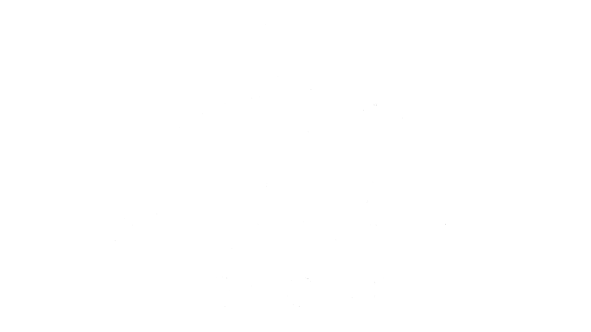 Community Partner