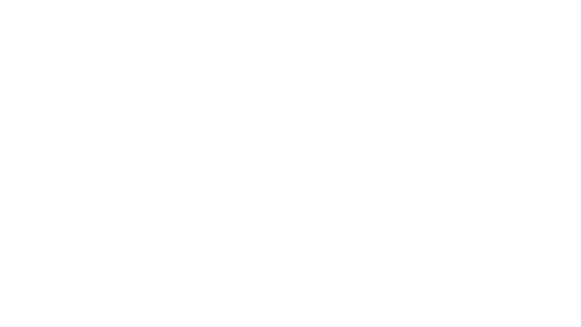 Community Partner