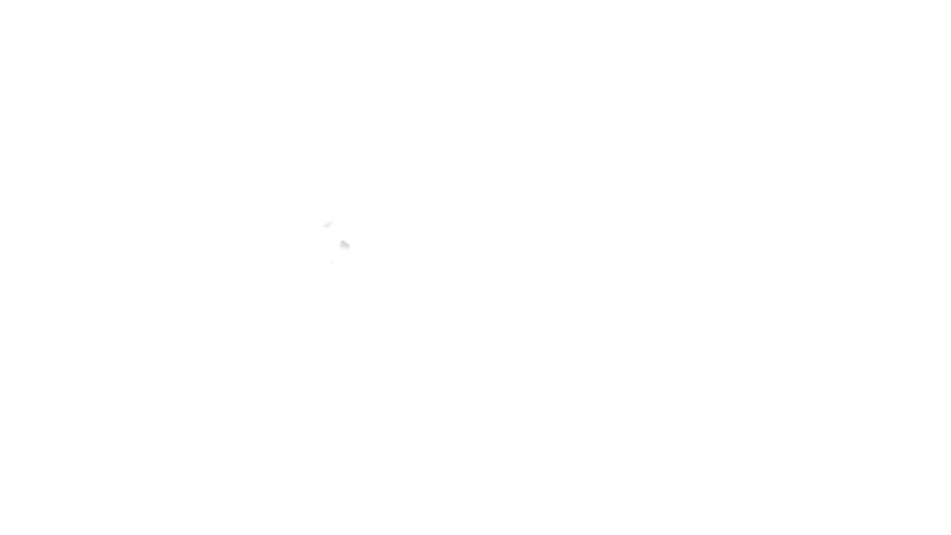 Community Partner